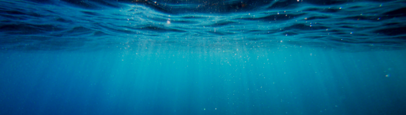 Aqua+