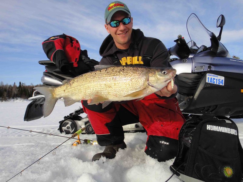 Experience the Thrill of Online Ice Fishing at UK's Top Casinos