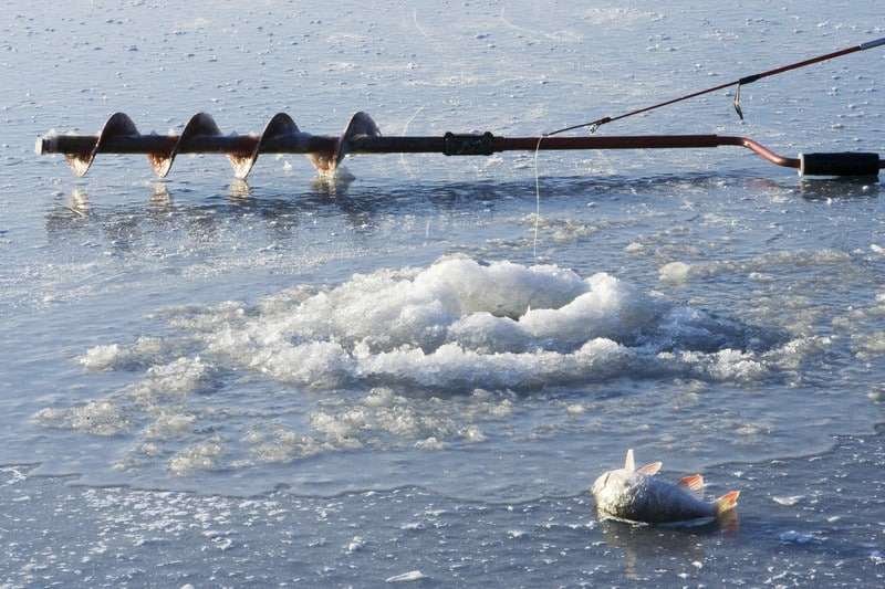 Catch the Thrill of Evolution Ice Fishing in UK Casinos Online