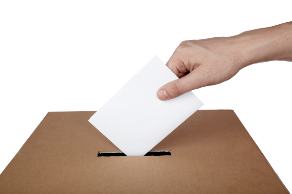 O voto facultativo restringe o processo eleitoral a um seleto grupo (imagem: divulgação)