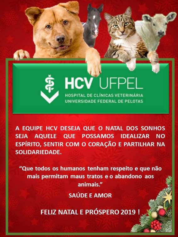 Grupo PET Enfermagem Jataí deseja a todos um Feliz Natal e Próspero Ano  Novo