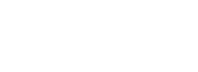 Logo do Hisales na cor branca em comemoração aos seus 20 anos