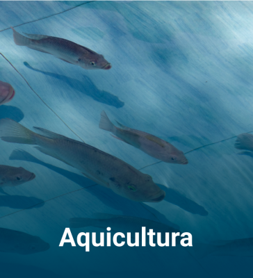 Aquicultura