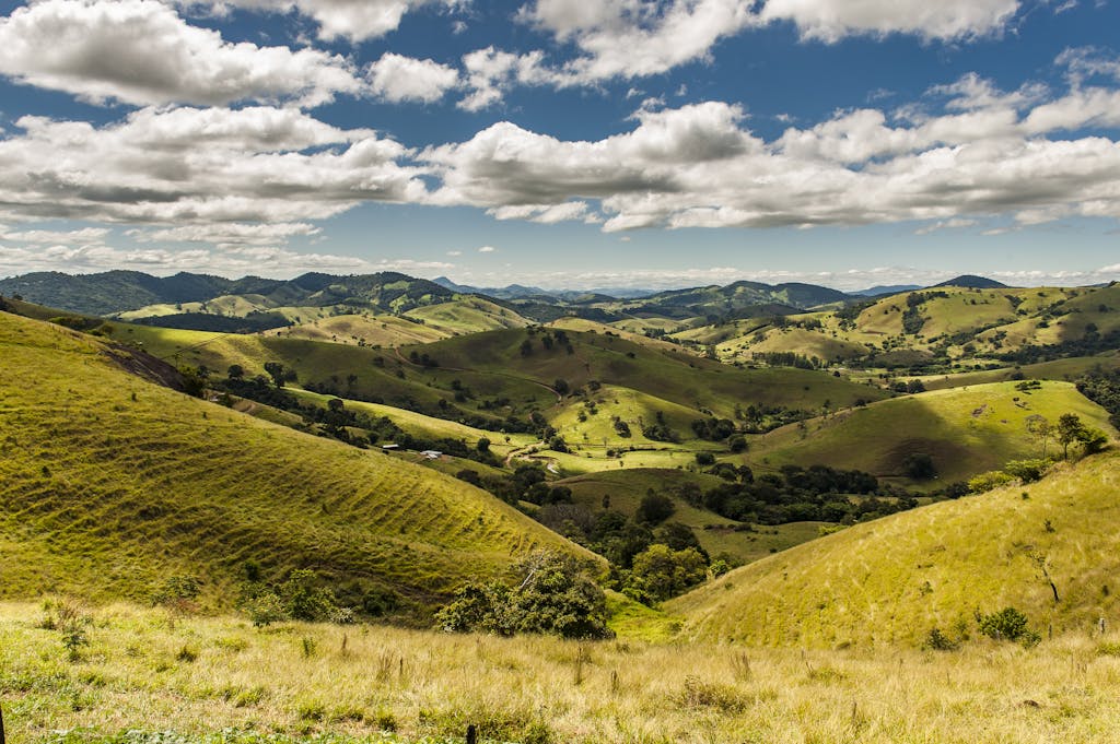 Scenic View of Rolling Hills and Mountains in Vibrant Greens