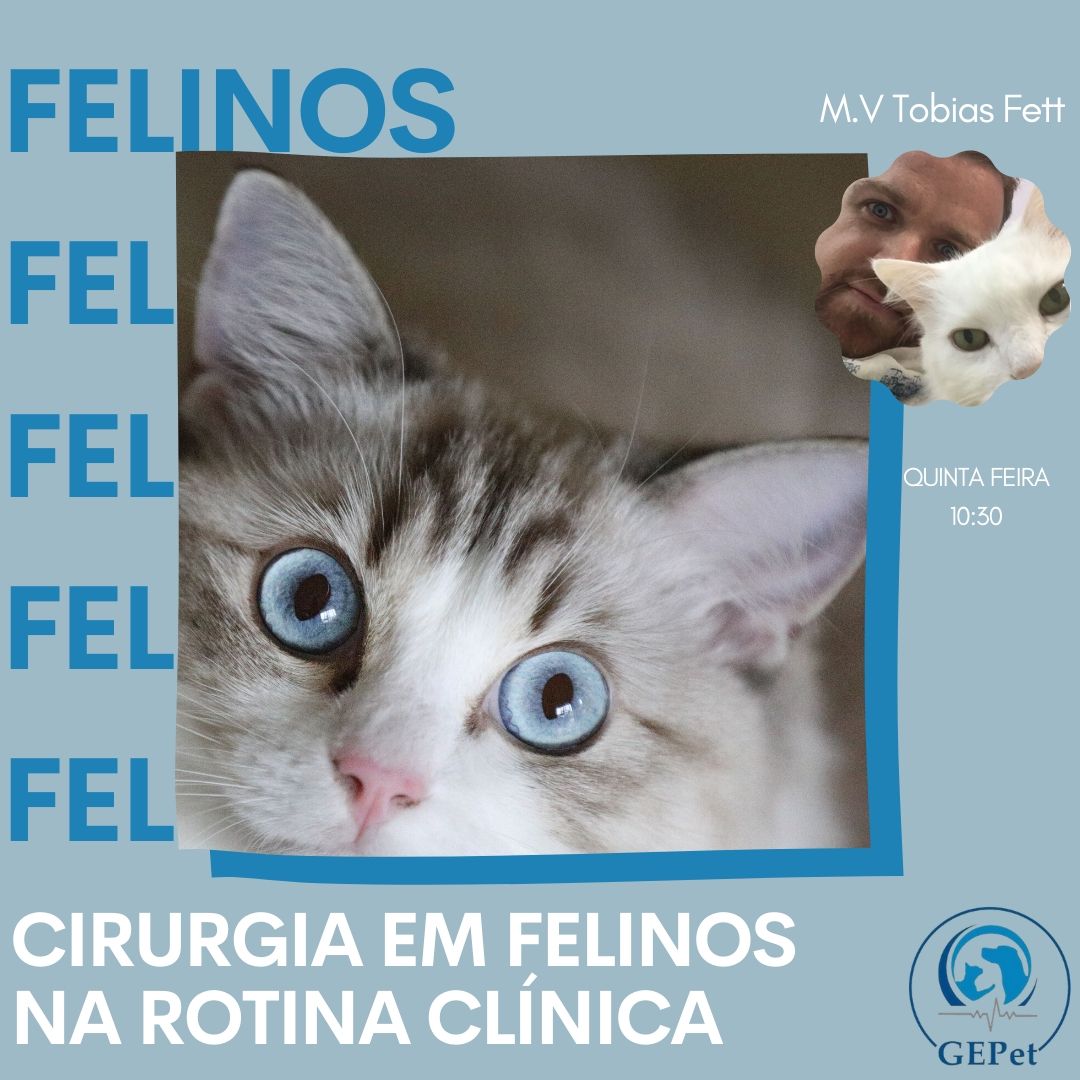 LADIC – Laboratório de Diagnóstico por Imagem e Cardiologia