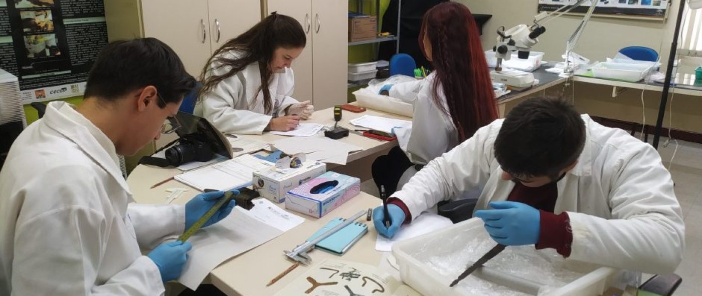 LÂMINA – Laboratório Multidisciplinar de Investigação Arqueológica