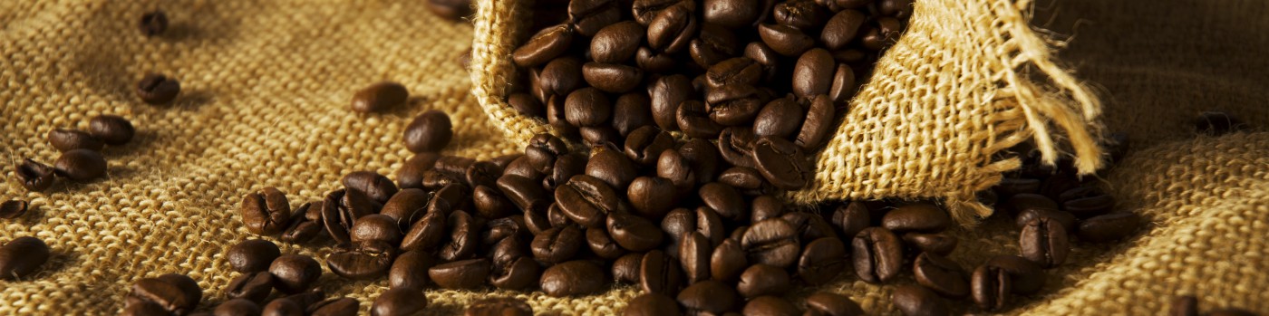 I Seminário Gaúcho sobre Ocupação, Trabalho e Produção de Conhecimento (I SGTO)