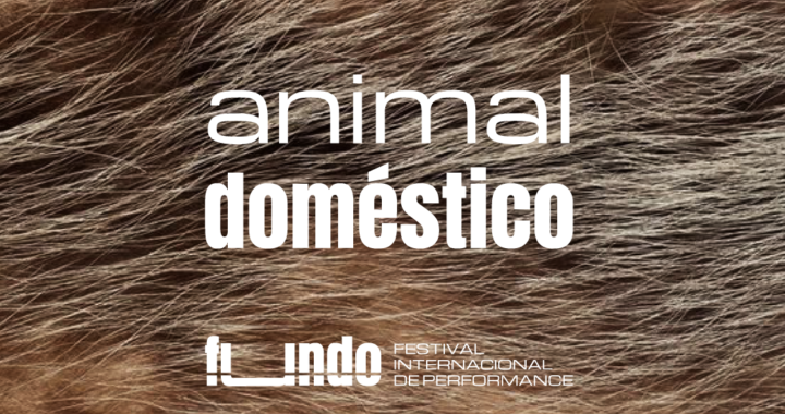 header festival FUNDO